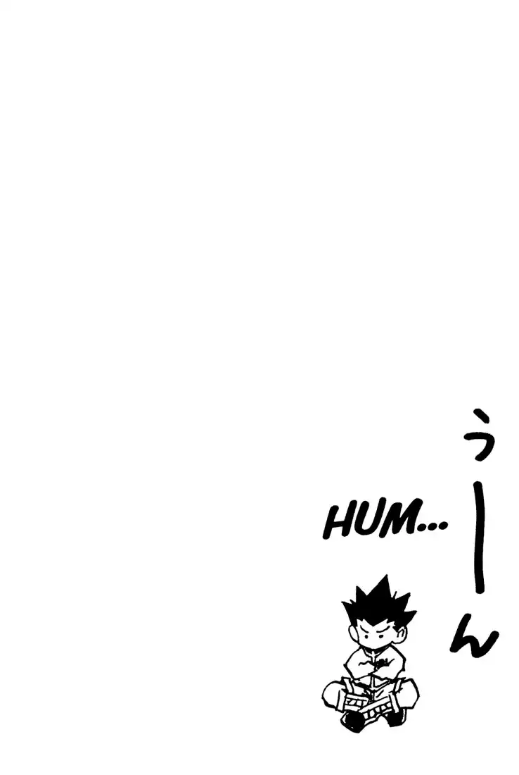 Hunter x Hunter Chapter 123