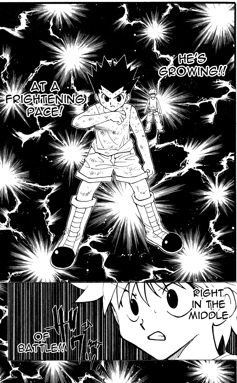 Hunter x Hunter Chapter 208