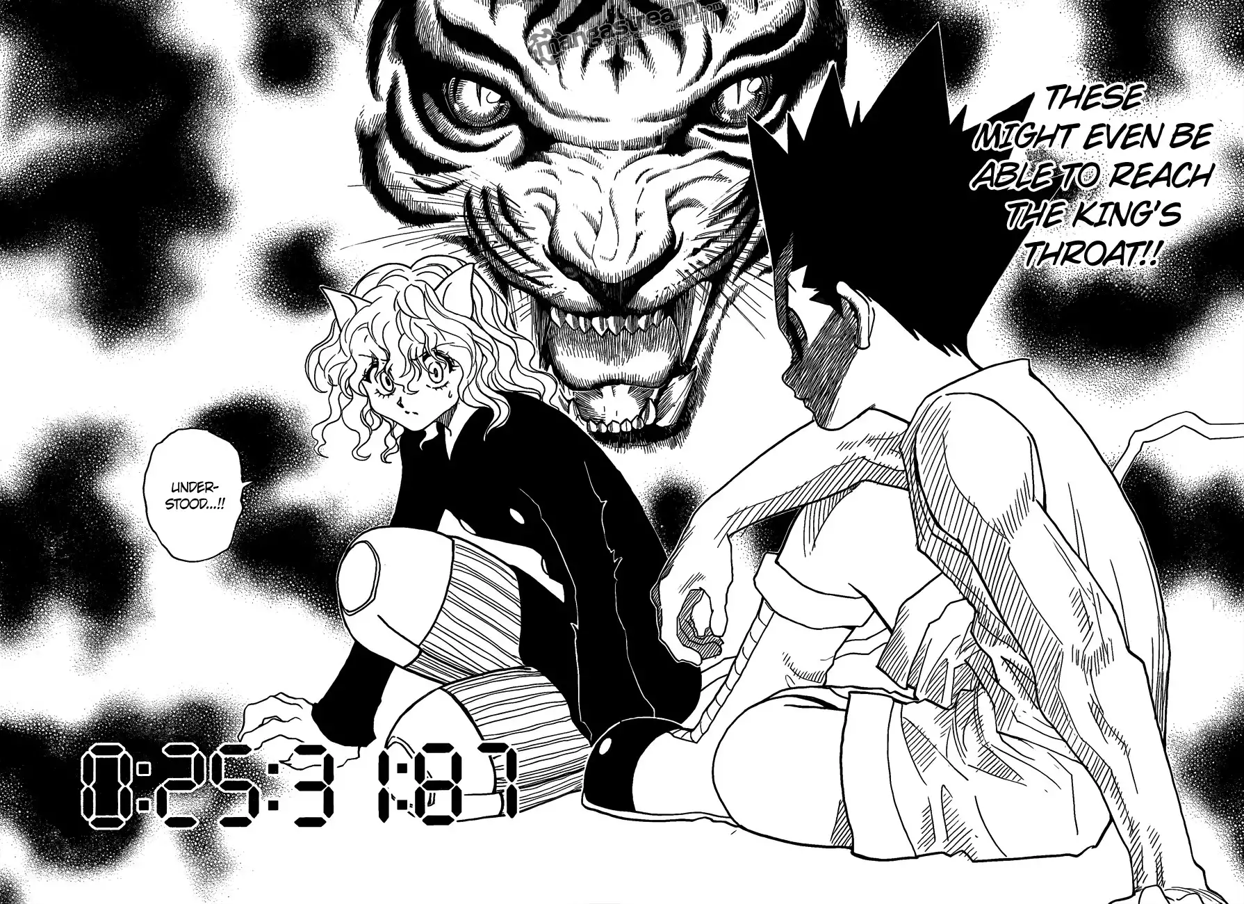 Hunter x Hunter Chapter 295