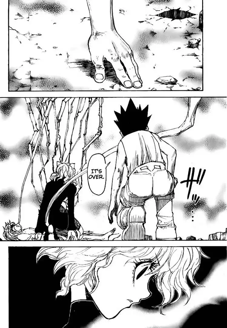 Hunter x Hunter Chapter 300