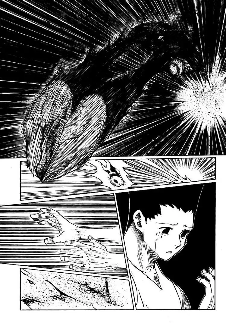 Hunter x Hunter Chapter 307