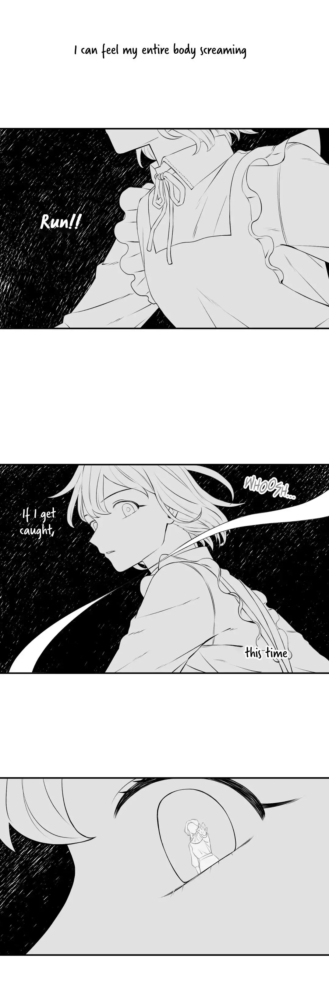 I Became a Maid in a TL Novel Chapter 27