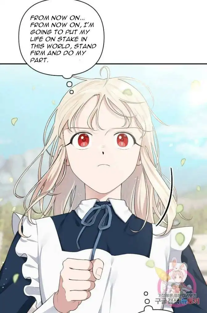 I Became a Maid in a TL Novel Chapter 43