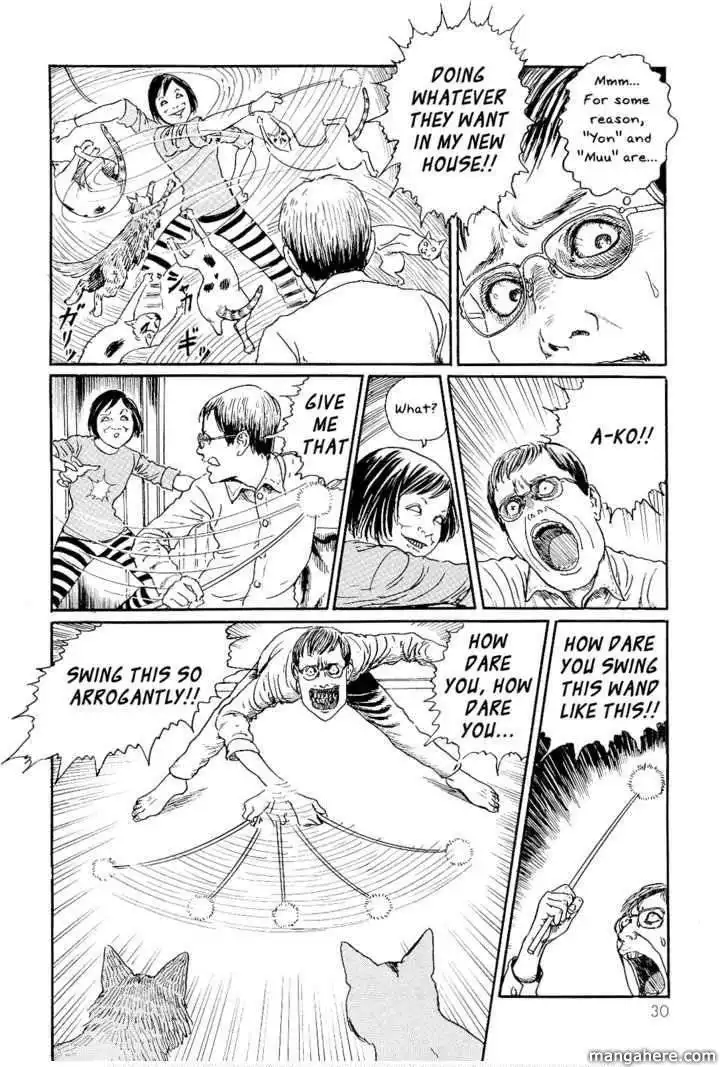 Ito Junji's Cat Diary Chapter 3