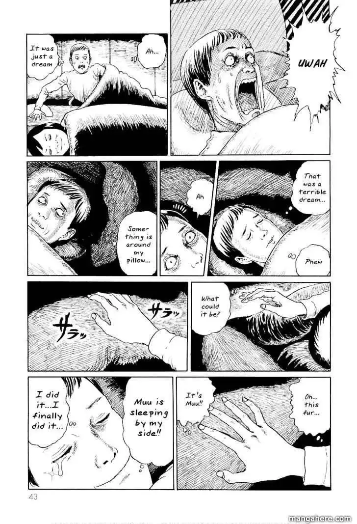 Ito Junji's Cat Diary Chapter 4