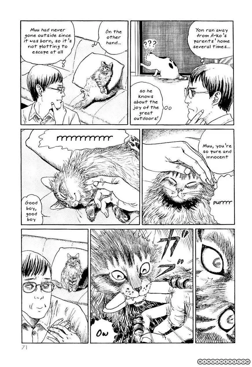 Ito Junji's Cat Diary Chapter 7