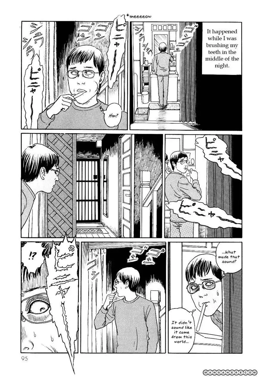 Ito Junji's Cat Diary Chapter 9