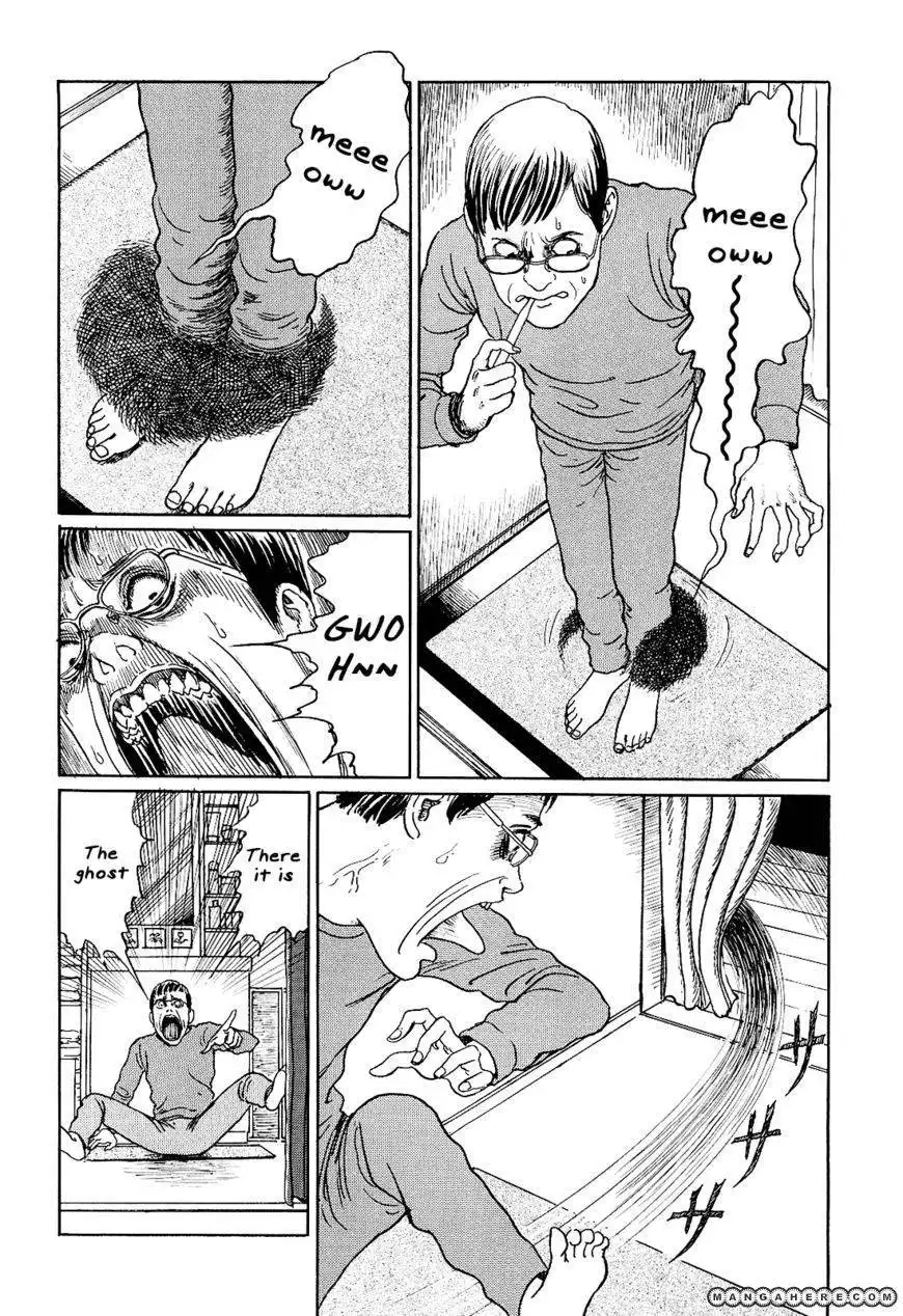 Ito Junji's Cat Diary Chapter 9