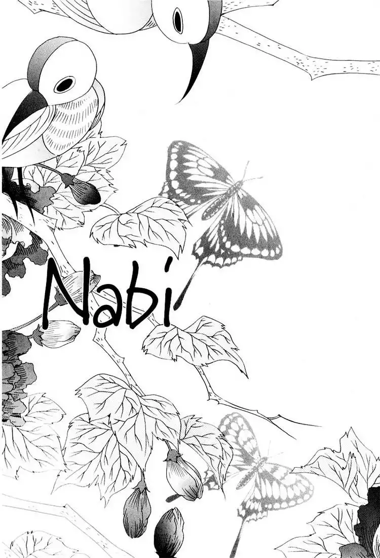 NABI Chapter 9