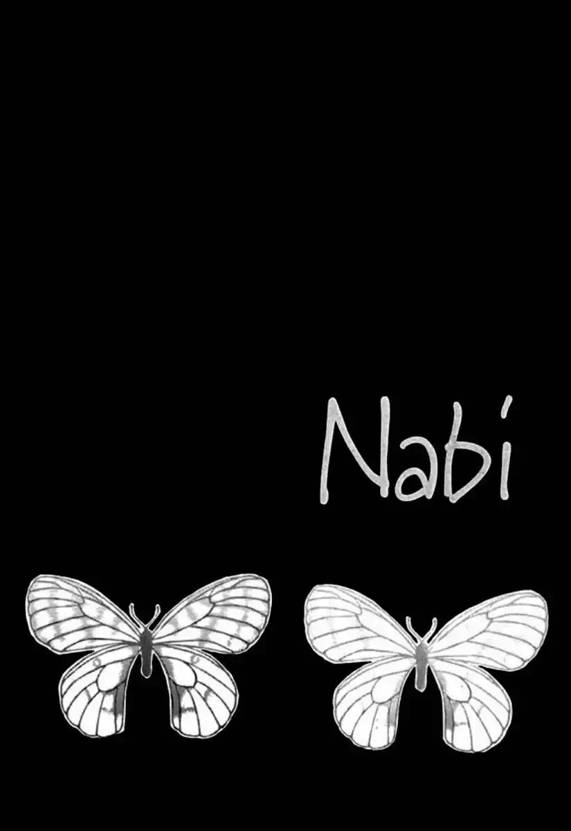 NABI Chapter 2