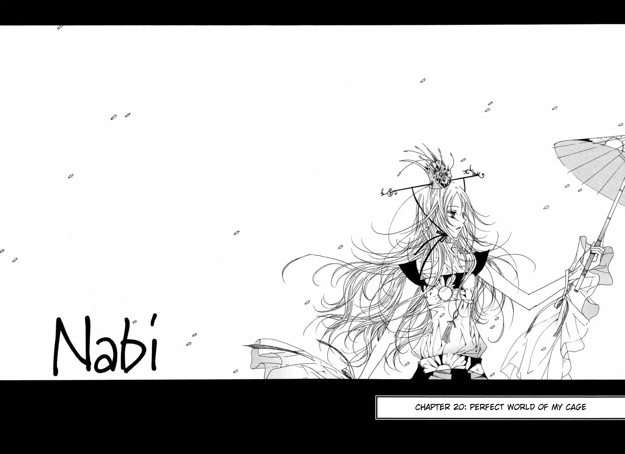 NABI Chapter 5