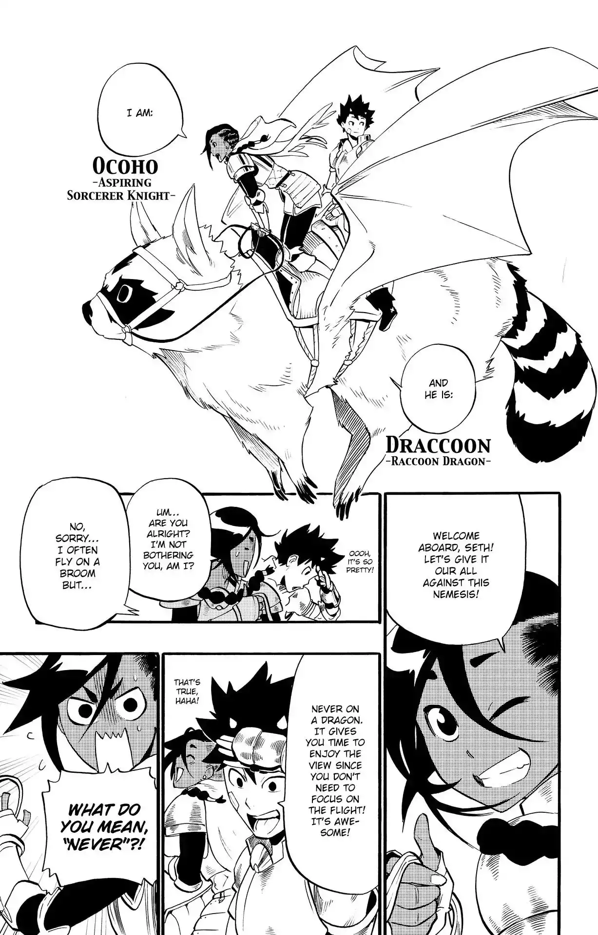 Radiant Chapter 33 17