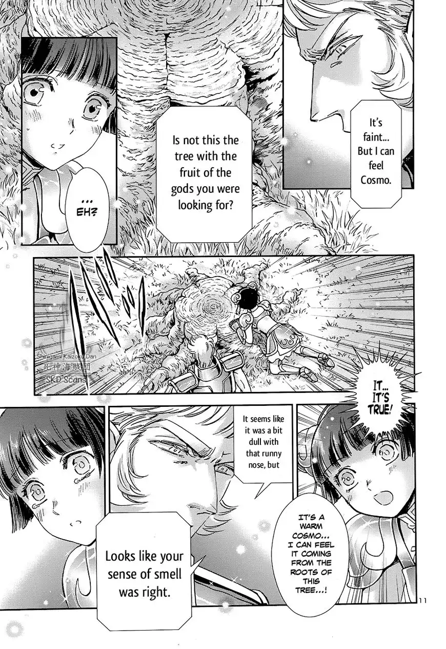 Saint Seiya - Saintia Shou Chapter 41