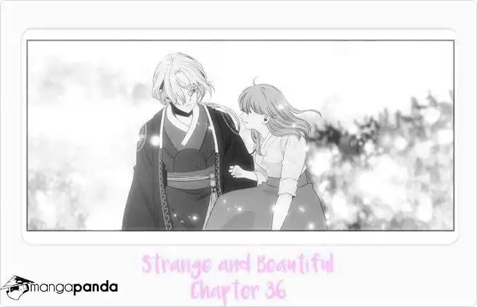 Strange and Beautiful Chapter 36